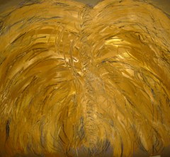 KYoung HerWingsHadAStrongSpine