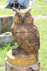Malhatter owl