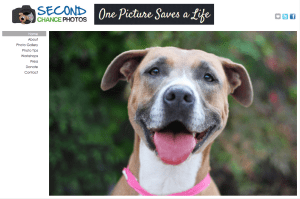 SCasteel Second Chance